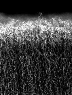 nano_capacitor.jpg